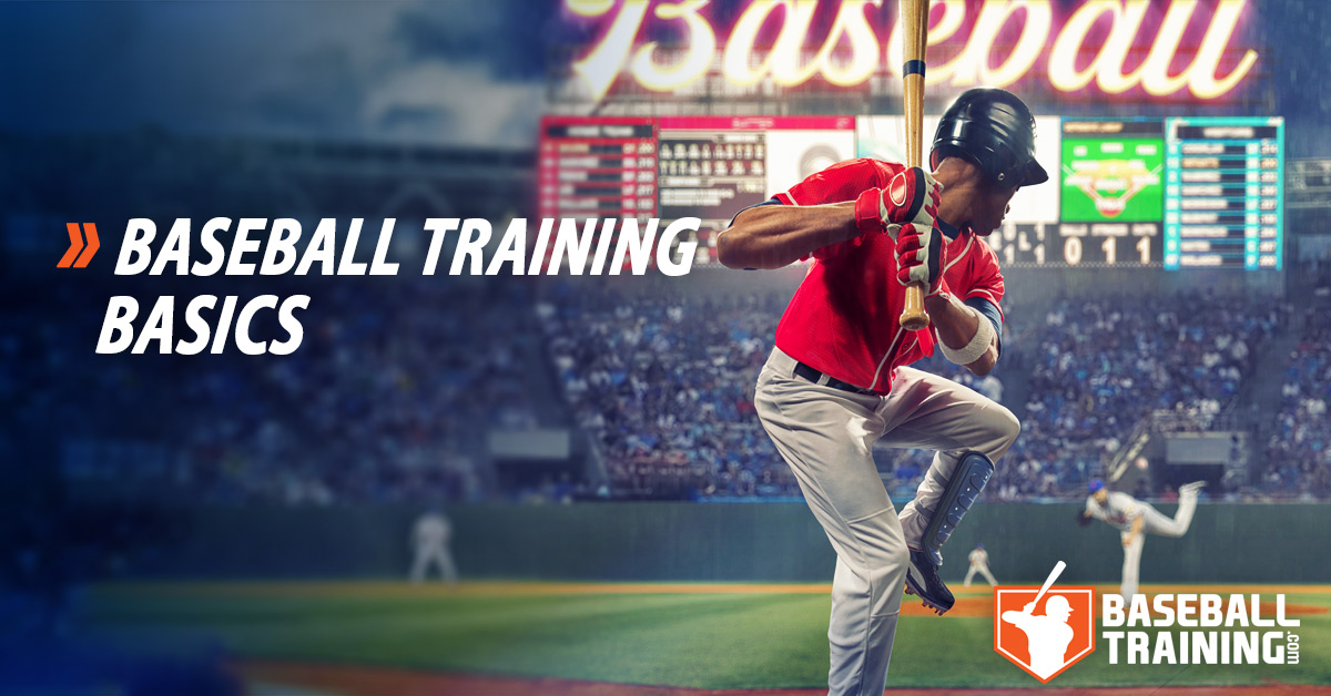 Baseball Training Basics Why It's Important To Understand Program Design